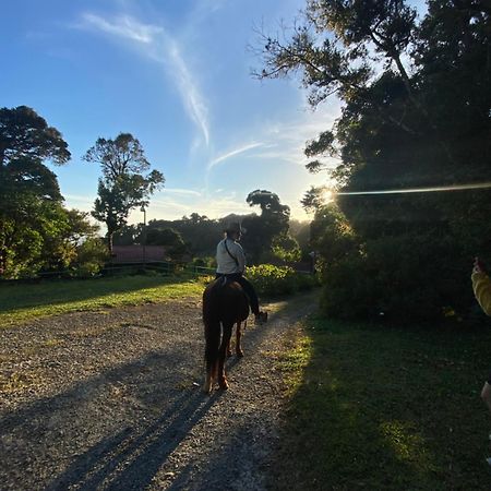 Rancho Makena Panzió Monteverde Kültér fotó