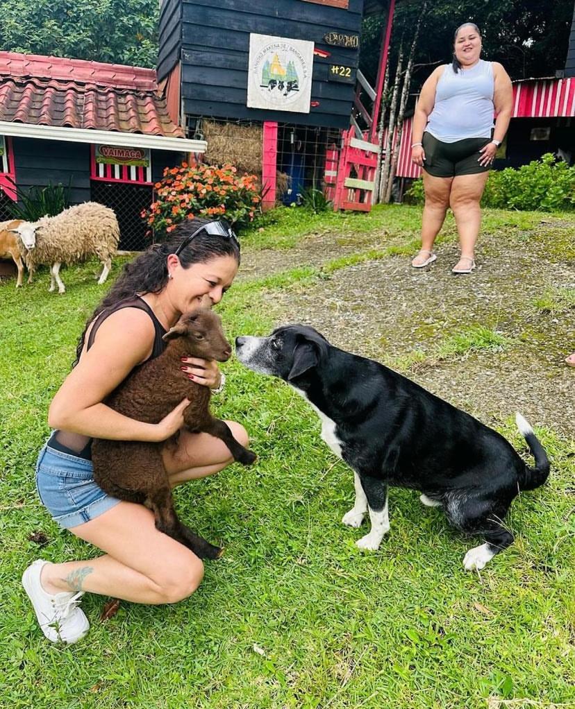 Rancho Makena Panzió Monteverde Kültér fotó